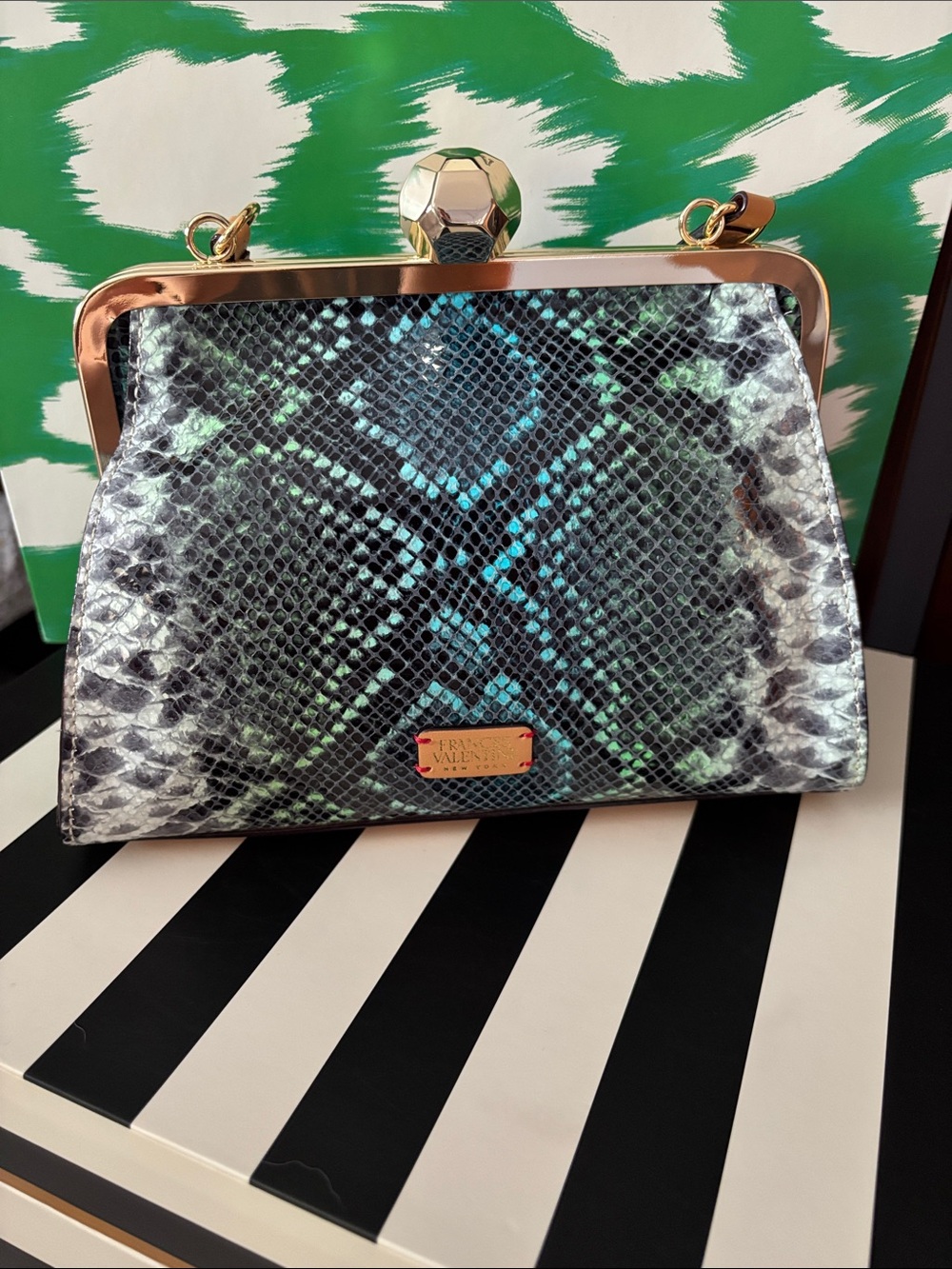 Frances Valentine Snakeskin Jackie Frame Bag (NWOT)